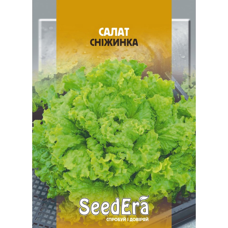 Салат Сніжинка 10г SeedEra