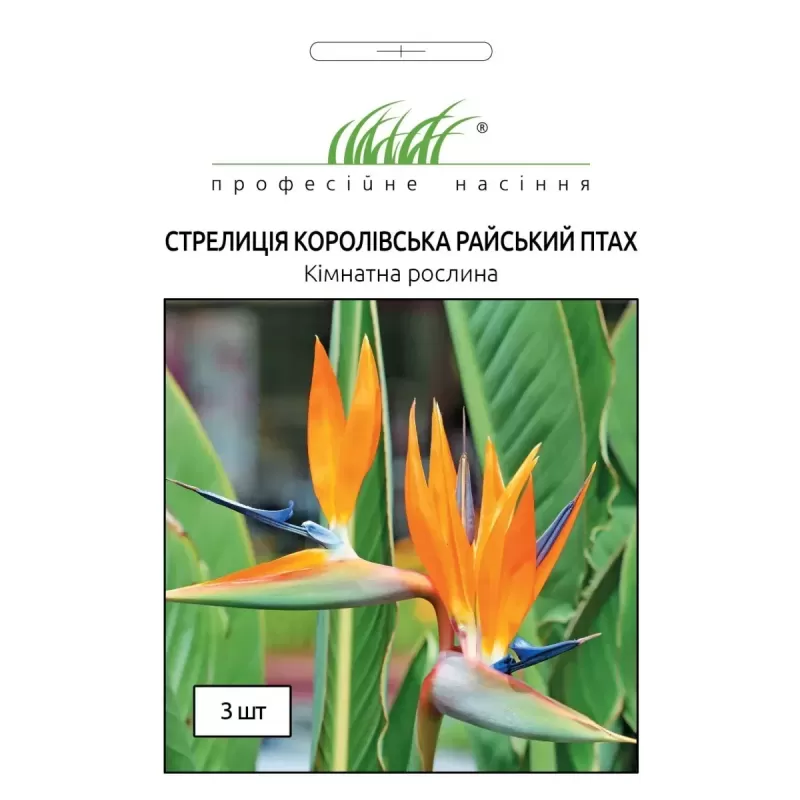Стреліція Королівська Райський птах 3шт Професійне насіння
