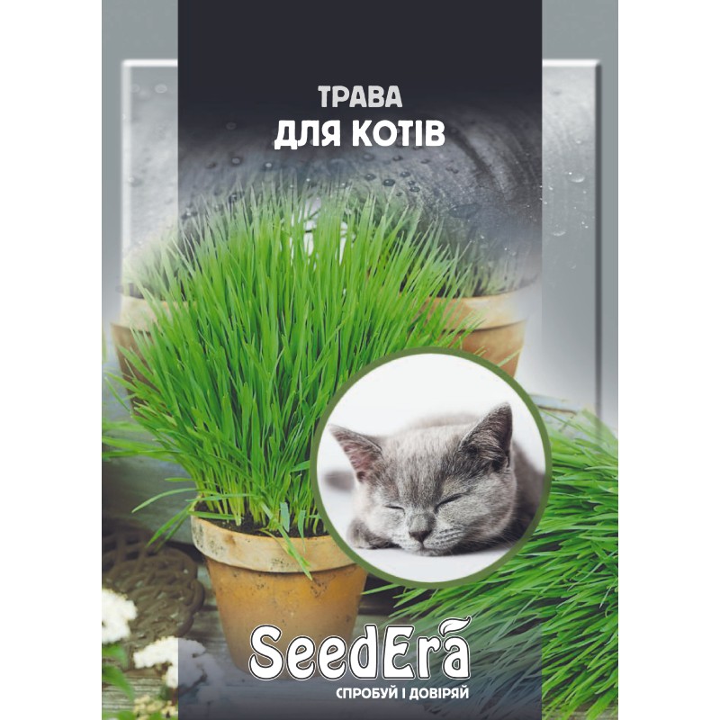 Трава для котів 30г SeedEra
