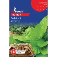 Тютюн Гавана для паління 0,1г  GL Seeds