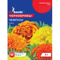 Чорнобривці Чемпіон 3г  GL Seeds