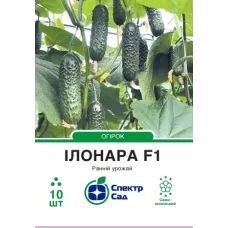 Огірок Ілонара F1 10шт  Спектр Сад